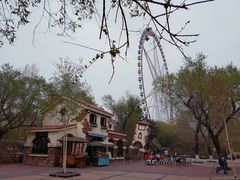 -哈尔滨文化公园