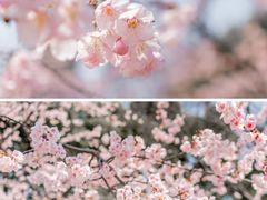 -静安雕塑公园
