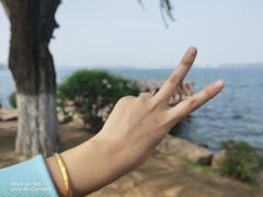 -丁香湖公园