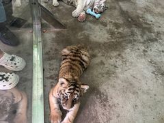 -西安秦岭野生动物园
