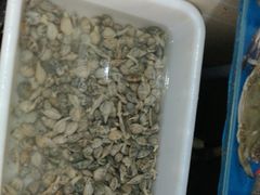 -宾朋海鲜特色美食餐厅·纯手工鲅鱼水饺(兴海路店)