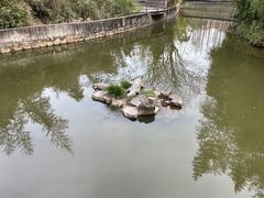 -上海野生动物园