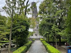 -上海佘山国家森林公园天马山园