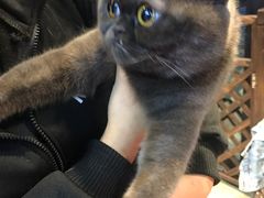 -八公叔叔宠物美容连锁(春申店)