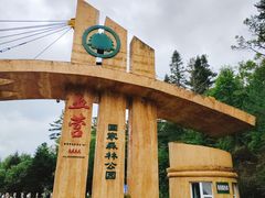-五营国家森林公园