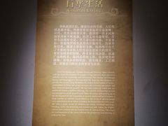 -皖西博物馆