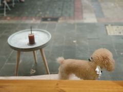 -COTTON CAFE(德信·中外公寓店)