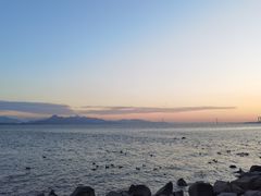 -深圳湾公园(南山区)