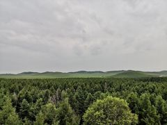 -塞罕坝国家级自然保护区