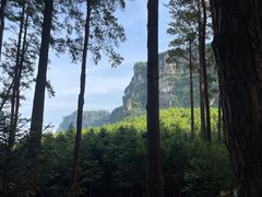 -重庆睡佛山森林公园