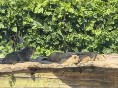 -泉州海丝野生动物世界