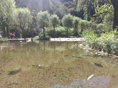 -沕沕水生态风景区