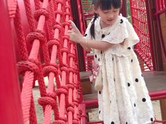 -合肥滨湖国家森林公园