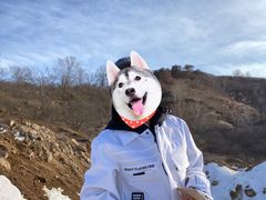 -蓟县盘山滑雪场