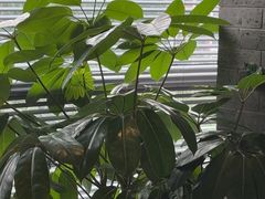 -新沸腾鱼乡(世贸天阶店)