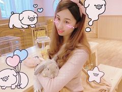 -猫猫幼稚园·撸猫·桌游·电玩