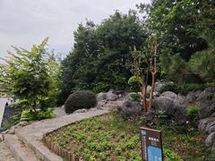 -云龙山