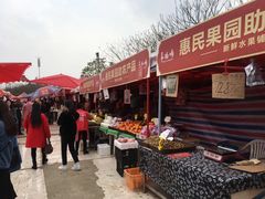 -秀丽东方