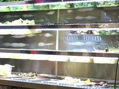 自助取餐区-刁四藤椒麻辣烫(振华店)