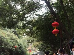 -峨眉山报国寺