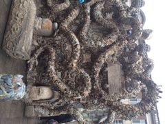 iphone_upload_pic-瓷房子