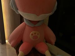 -上海崇明金茂凯悦酒店