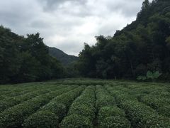 -杭州西湖风景名胜区-三生石
