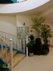 -新蝶变皮肤管理中心