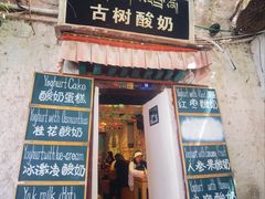 -古树酸奶(八廓南街店)