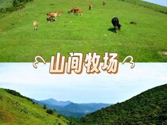 -大姆山草场