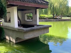 -团结湖公园