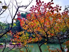 -上海醉白池公园