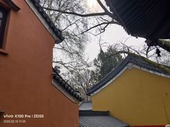 -灵谷景区