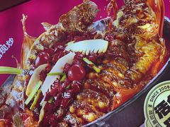 -老板恋上鱼(恒隆广场店)