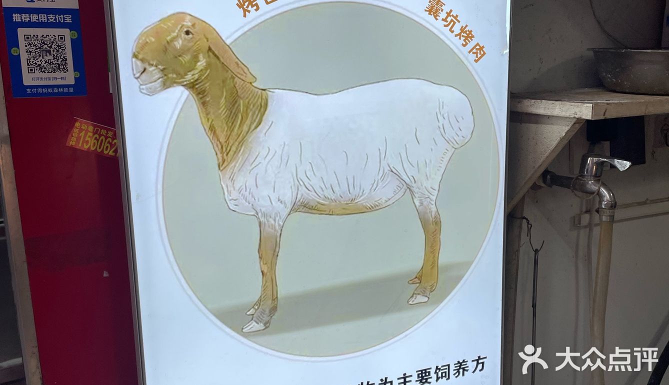 南京美食｜一家实在新疆人开的烤包子店