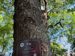 -绮园景区