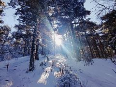 -秦岭风景区