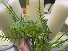 -探窝·竹笙椰子鸡(杨箕店)