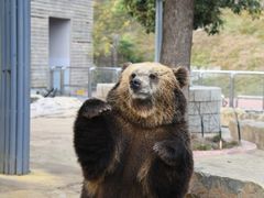 -南京金牛湖风景区