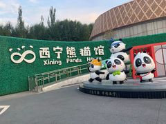 -青藏高原野生动物园