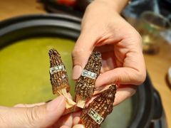 -一朵菌·野生菌探索家火锅(南亚店)