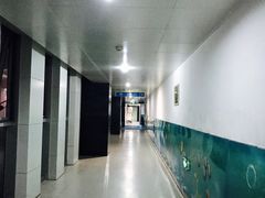-武钢体育中心恒温游泳馆