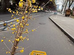 -银锐24h健身·Ai闪练(建设路店)