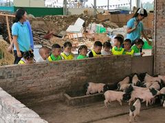 -宾果蒙特梭利托育儿童之家幼儿园(爱琴海店)