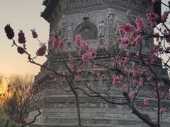 -玲珑塔公园