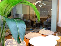 -Line 咖啡(石厦花园店)