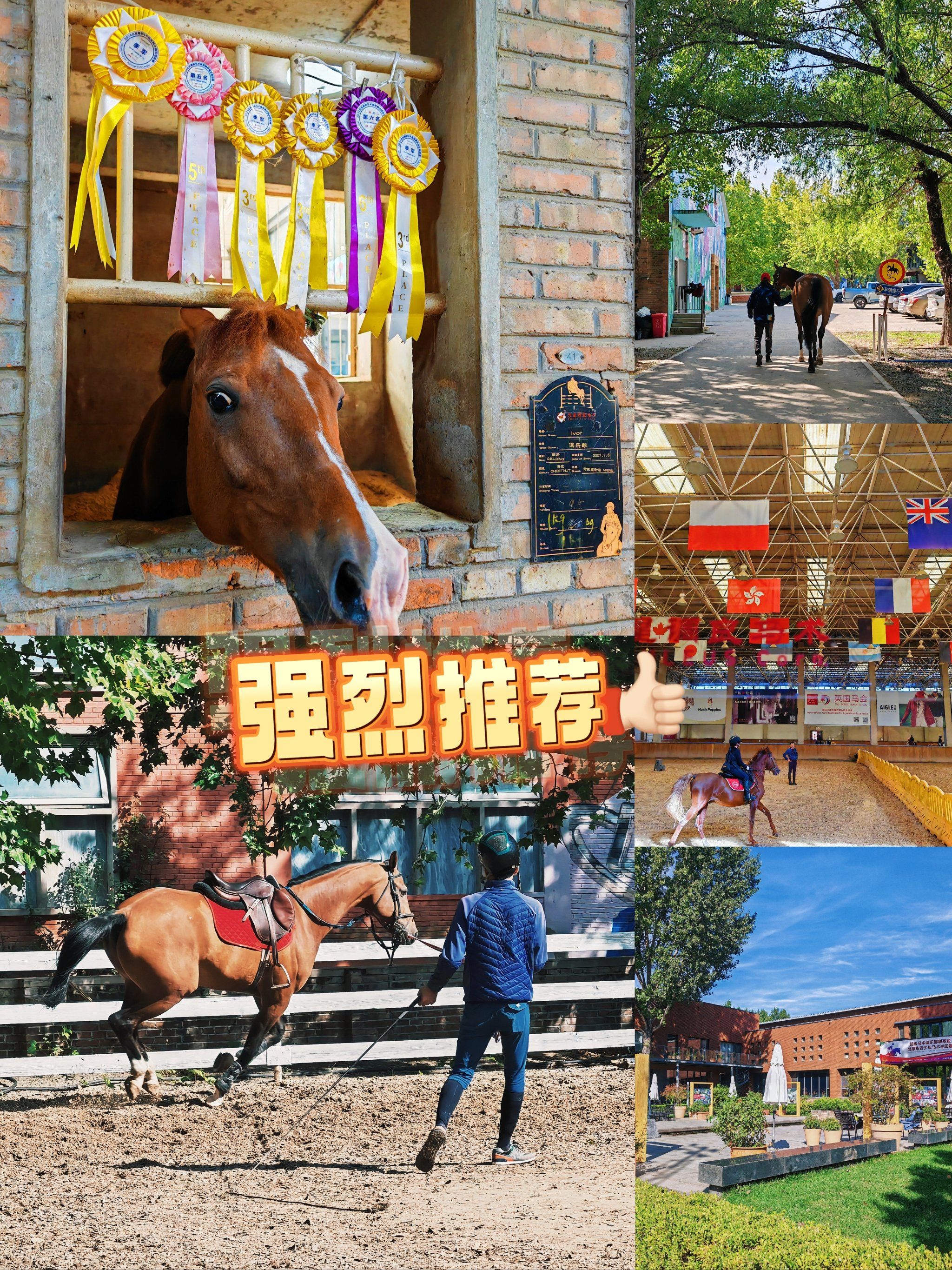 国庆小长假,就来英姿飒飒的骑马人天堂吧❗️