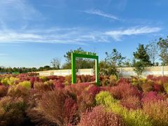 -天津东丽湖风景区