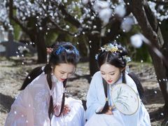 -龙口南山旅游景区