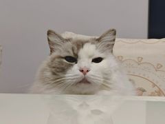 -赣南粉局·江西锅气炒米粉(南京西路店)